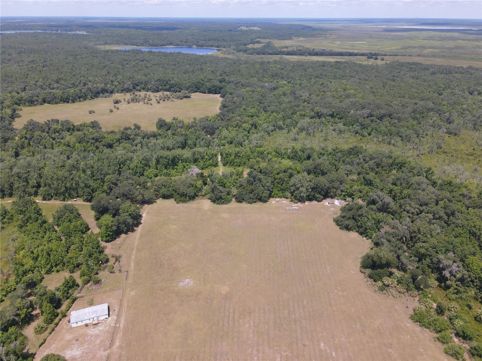 11816 SE COUNTY ROAD 234, MICANOPY, FL, 32667