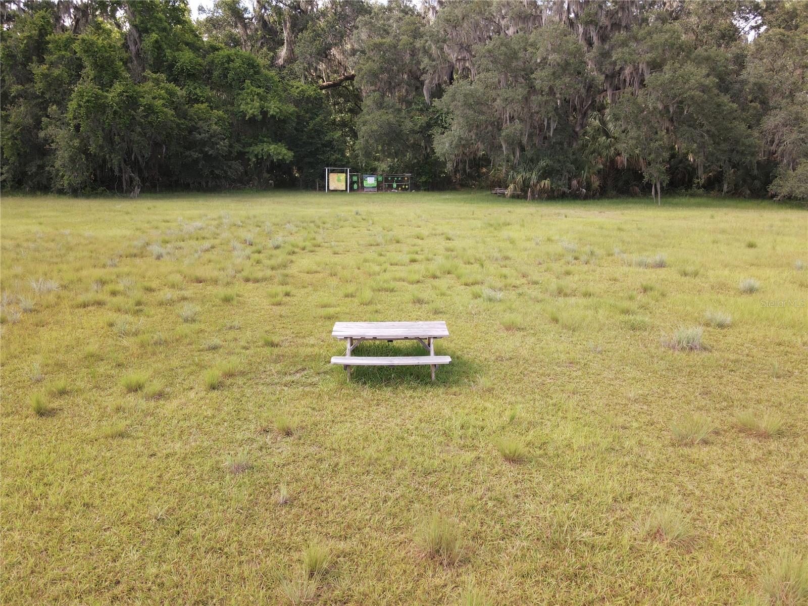 11816 SE COUNTY ROAD 234, MICANOPY, FL, 32667
