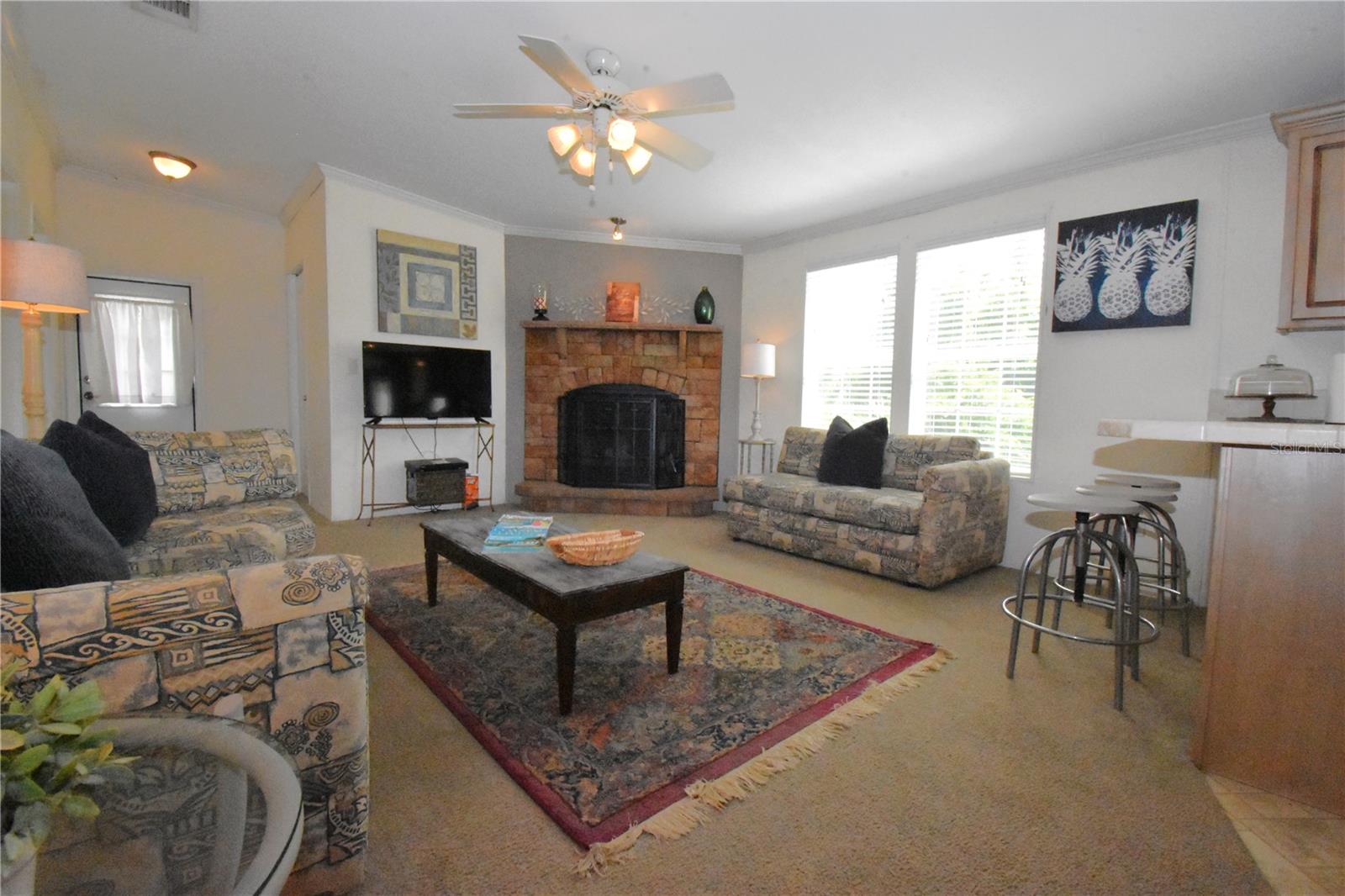 11816 SE COUNTY ROAD 234, MICANOPY, FL, 32667