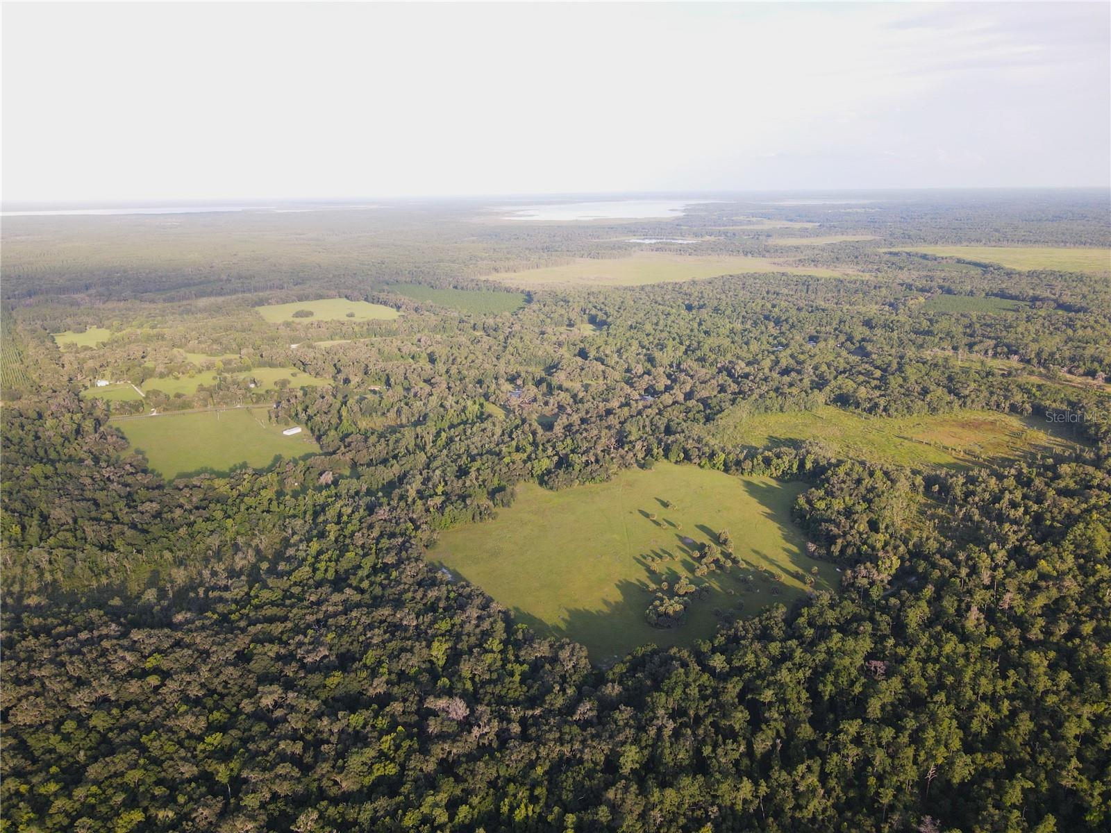 11816 SE COUNTY ROAD 234, MICANOPY, FL, 32667