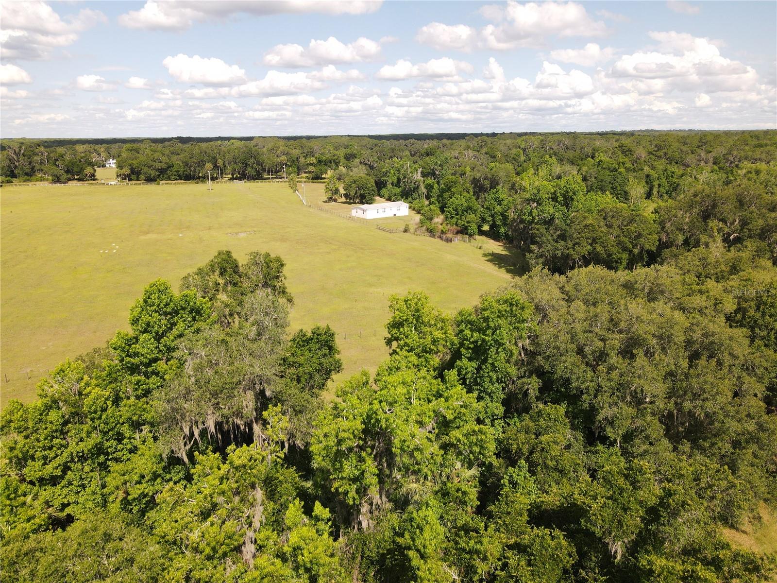 11816 SE COUNTY ROAD 234, MICANOPY, FL, 32667