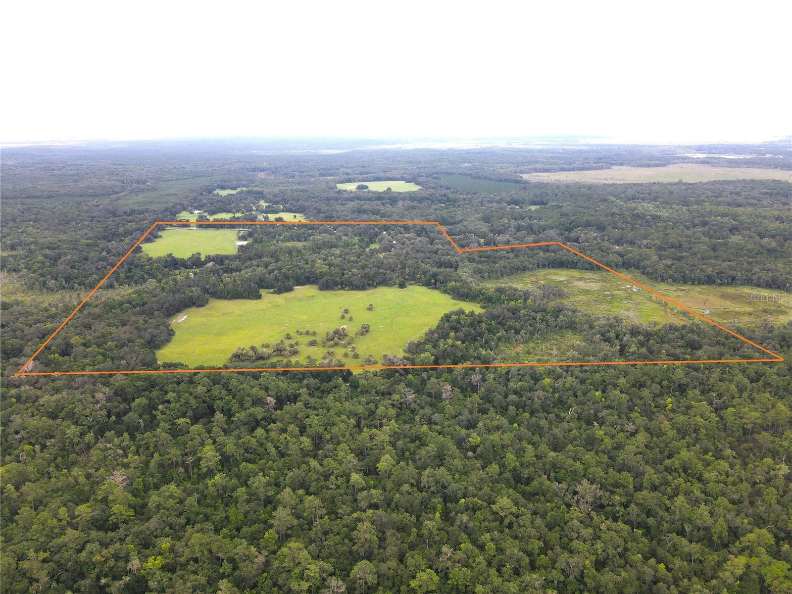 11816 SE COUNTY ROAD 234, MICANOPY, FL, 32667