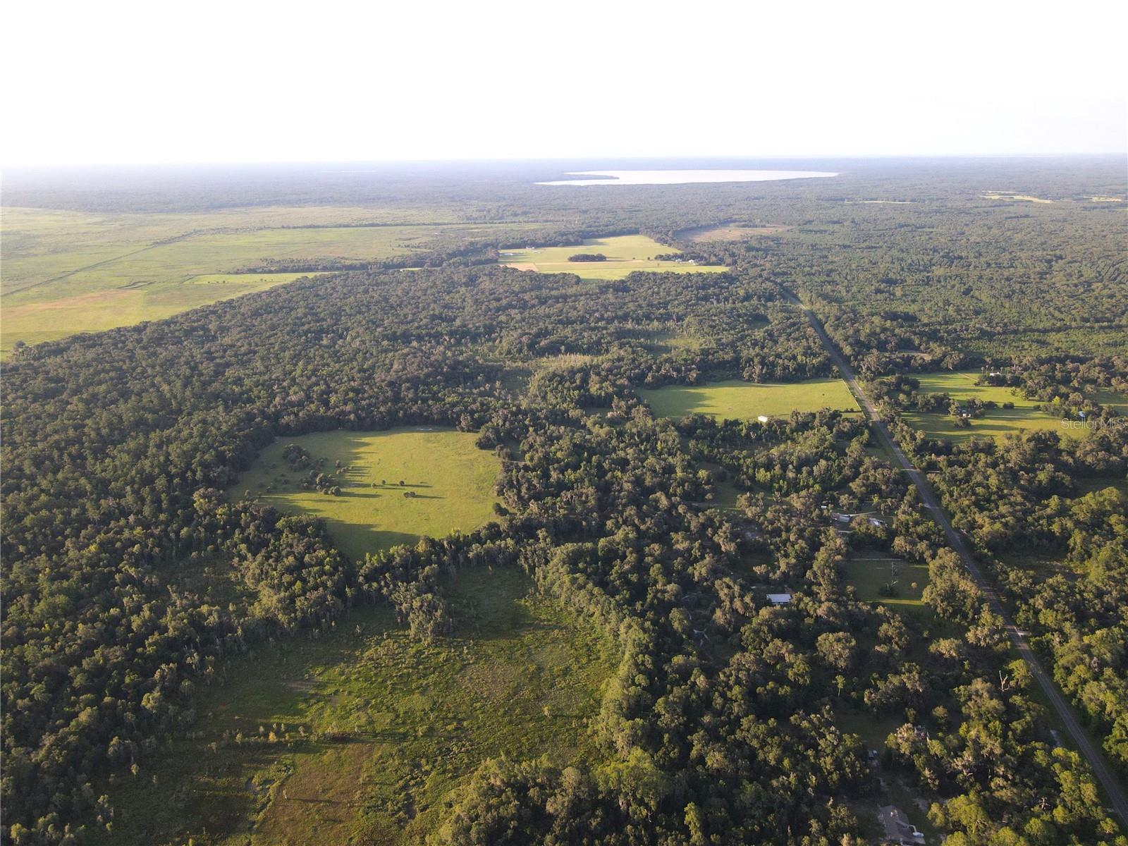 11816 SE COUNTY ROAD 234, MICANOPY, FL, 32667
