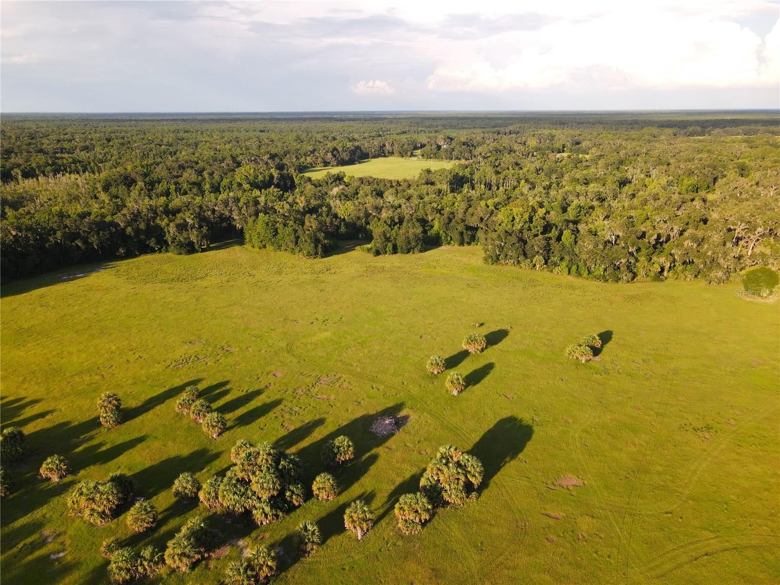 11816 SE COUNTY ROAD 234, MICANOPY, FL, 32667
