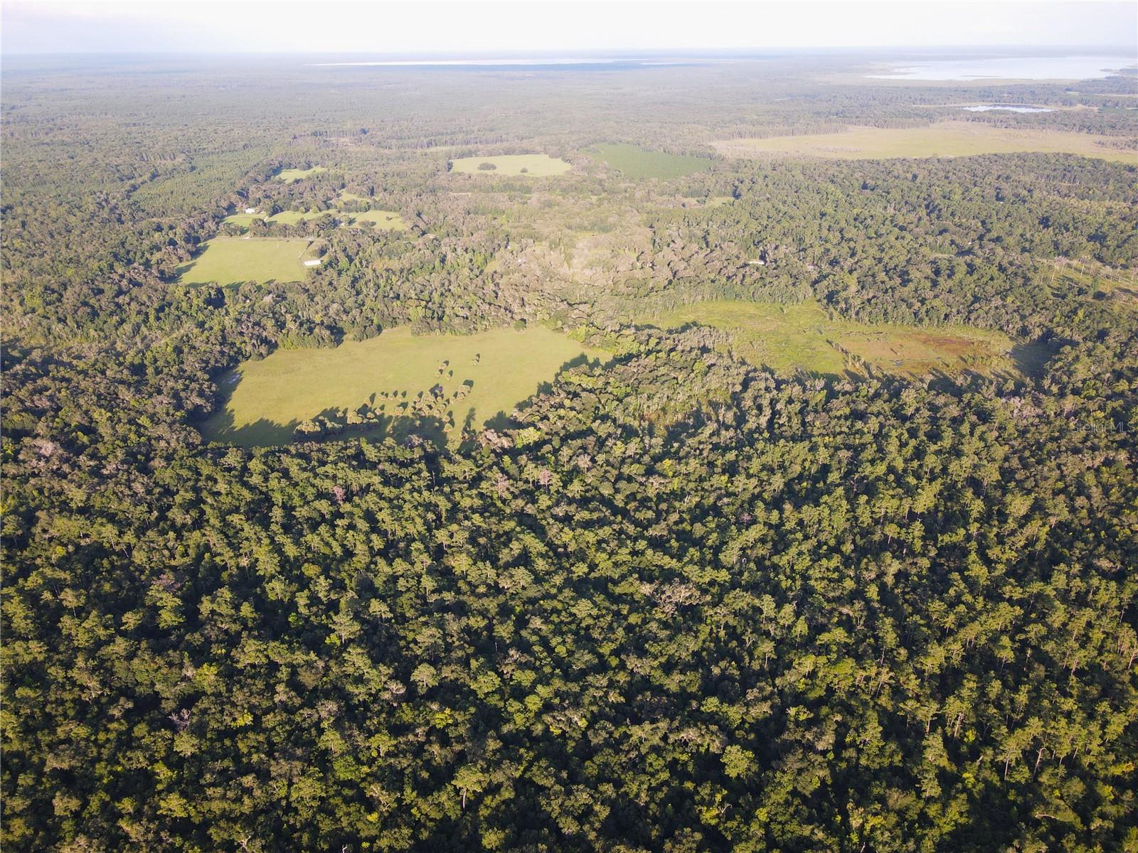 11816 SE COUNTY ROAD 234, MICANOPY, FL, 32667