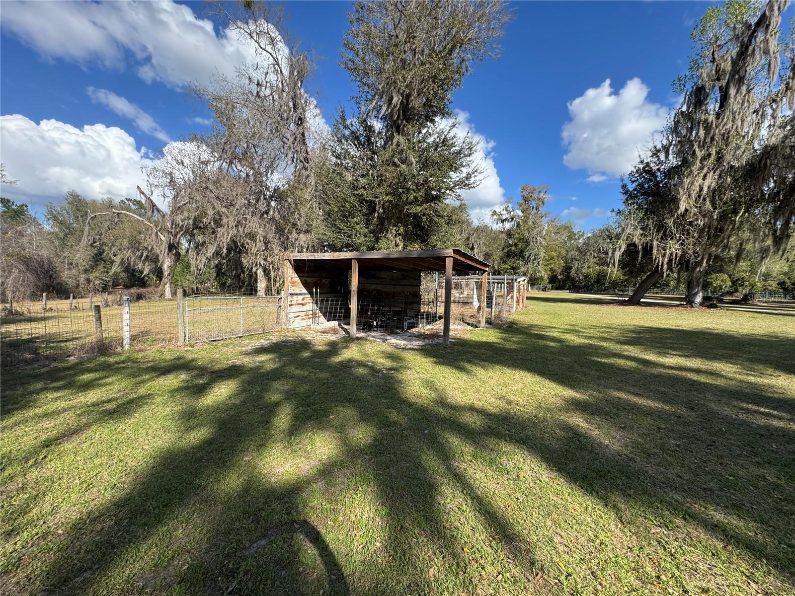 11816 SE COUNTY ROAD 234, MICANOPY, FL, 32667