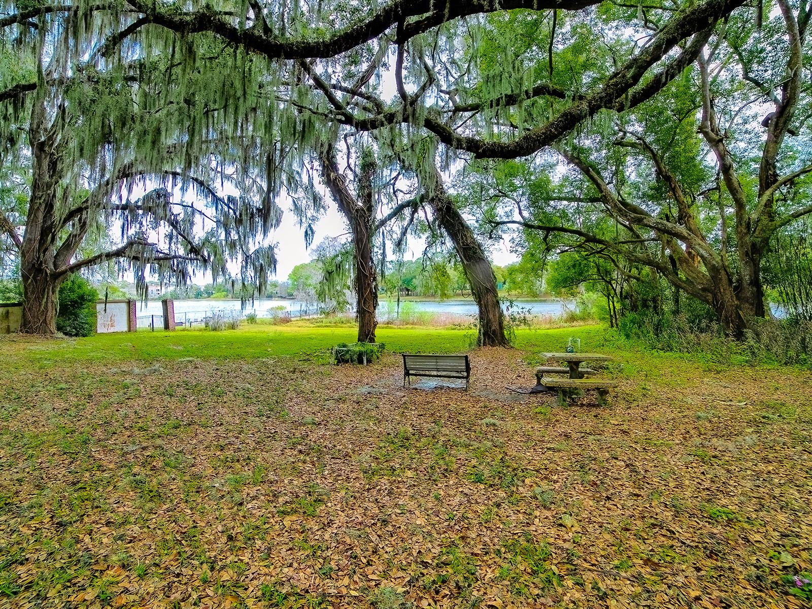 913 SHEILA PL, APOPKA, FL, 32703