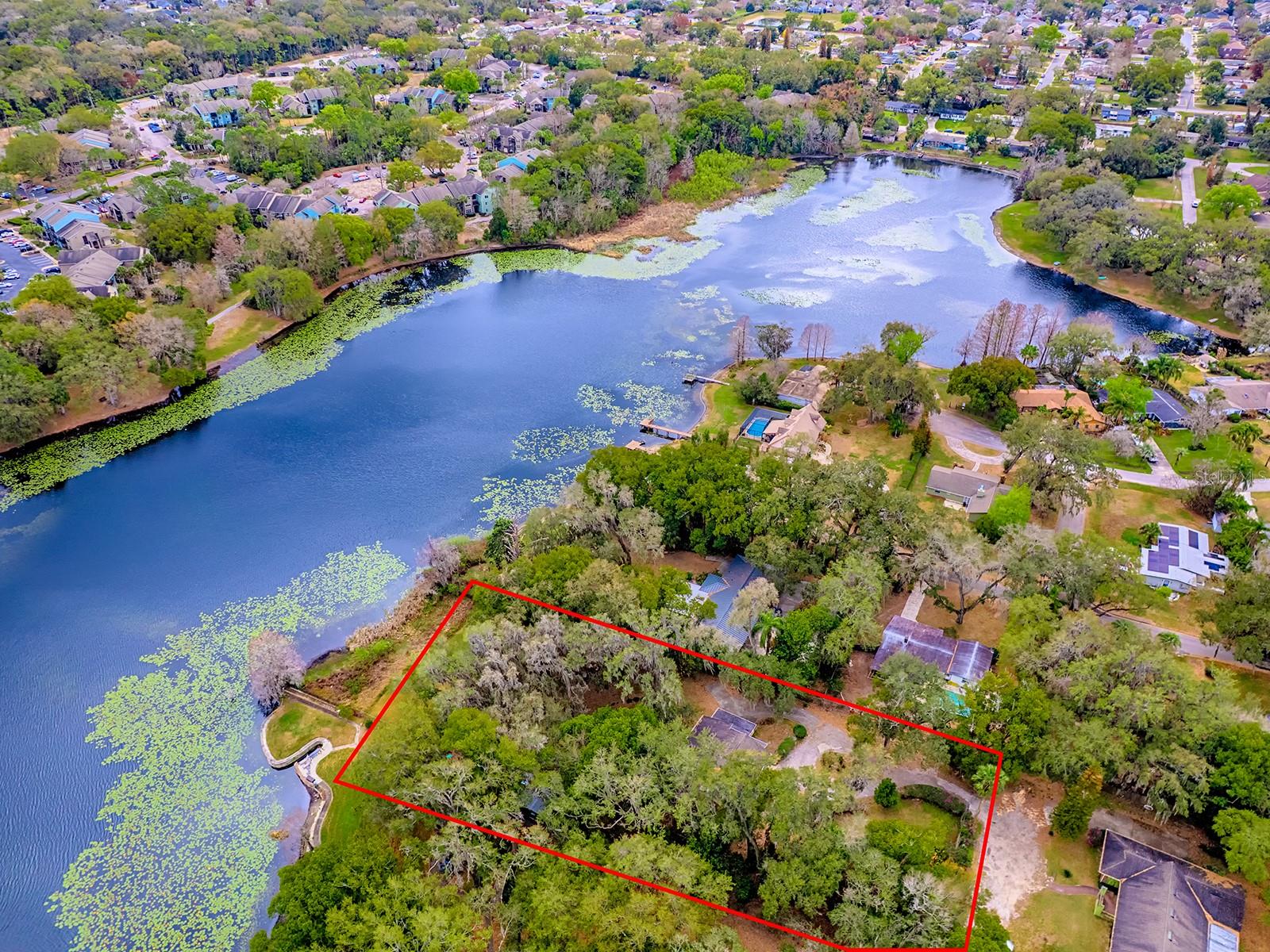 913 SHEILA PL, APOPKA, FL, 32703