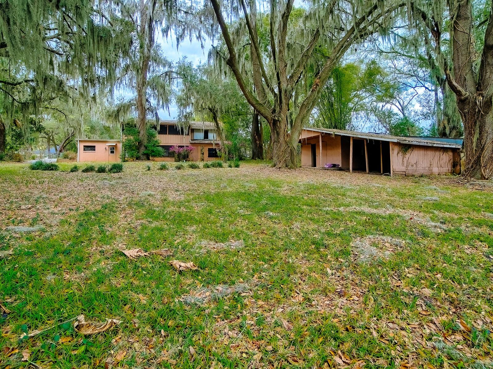 913 SHEILA PL, APOPKA, FL, 32703