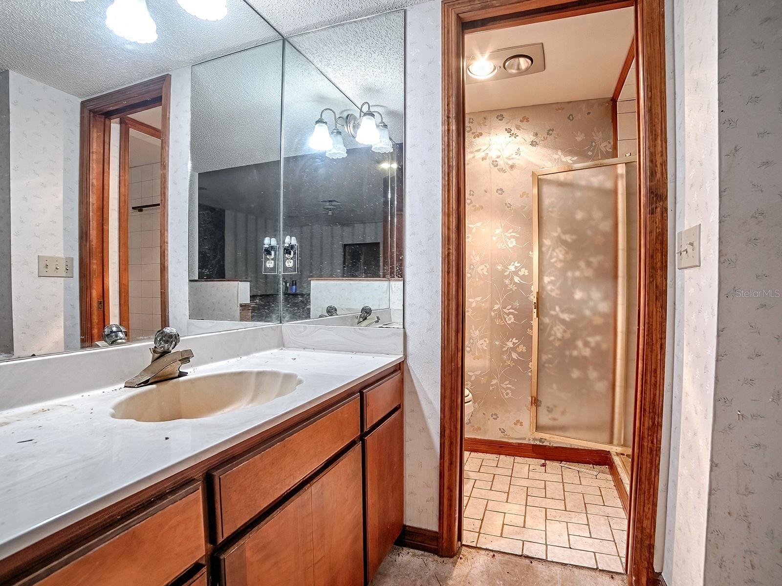 913 SHEILA PL, APOPKA, FL, 32703