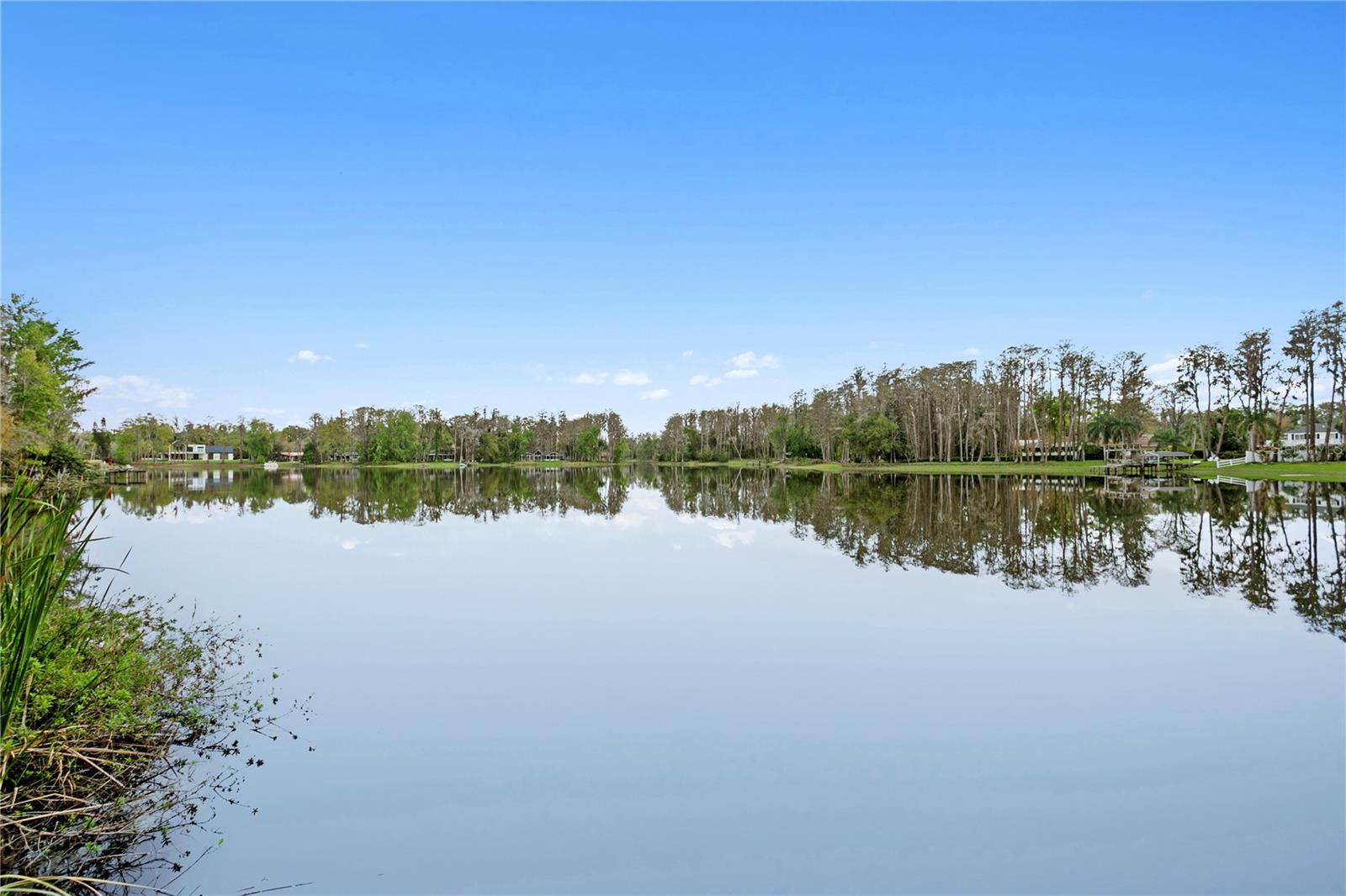 3632 LITTLE RD, LUTZ, FL, 33548
