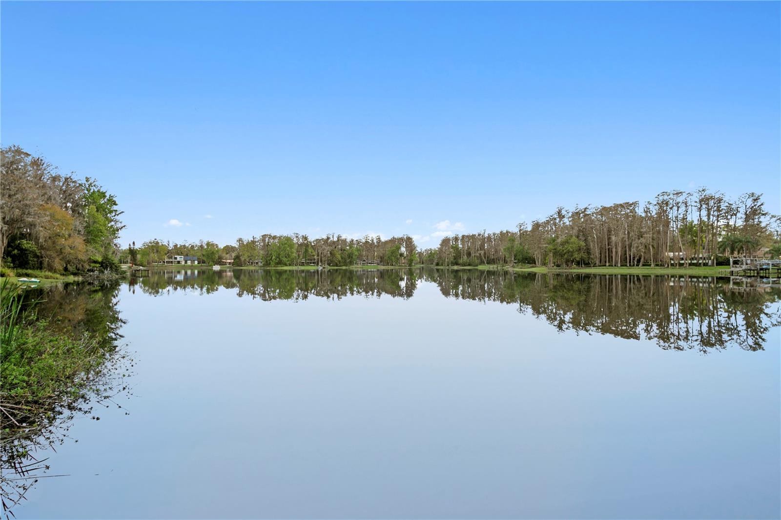 3632 LITTLE RD, LUTZ, FL, 33548