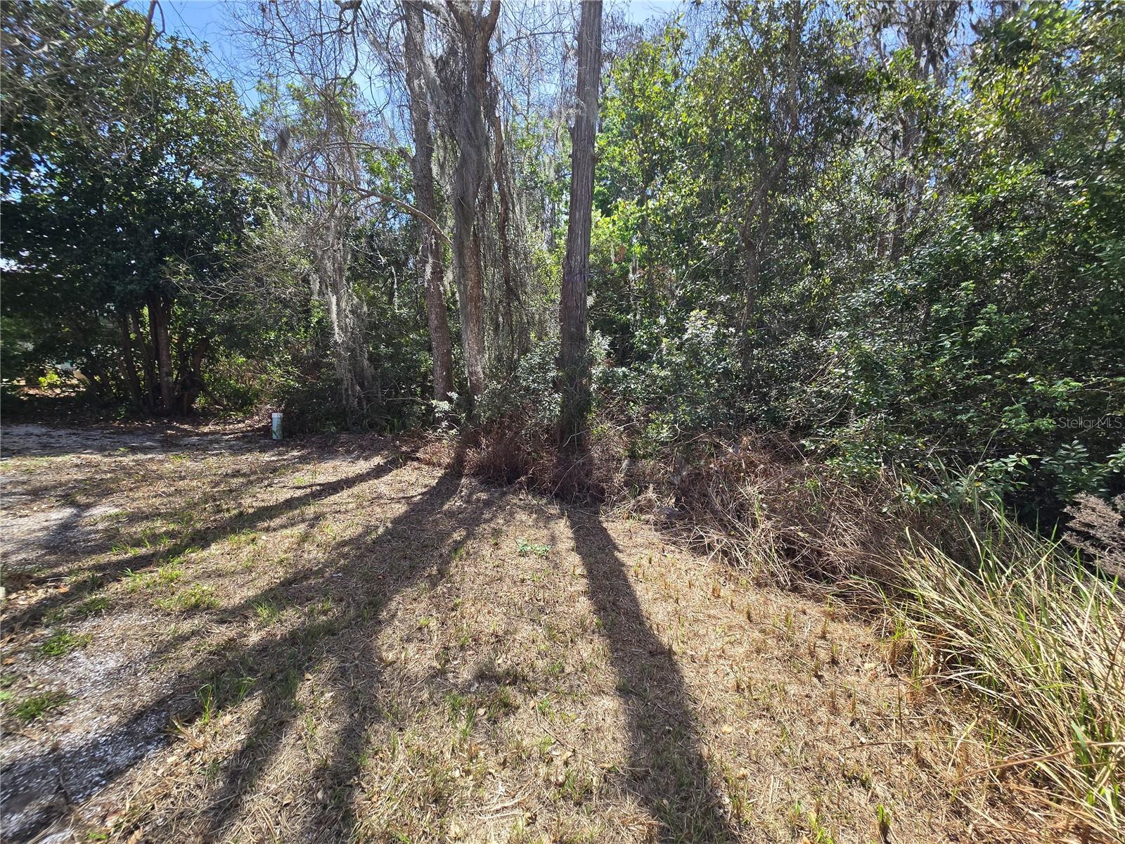 7139 ALAMANDA BLVD W, LAKE WALES, FL, 33898