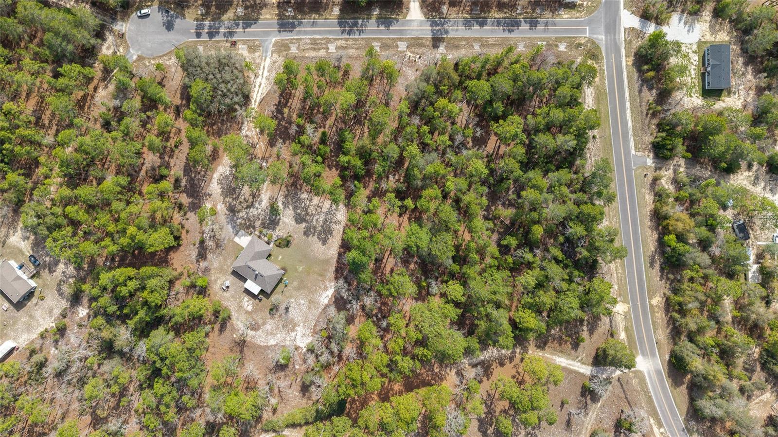 102 WHIRLWIND WAY, HAWTHORNE, FL, 32640