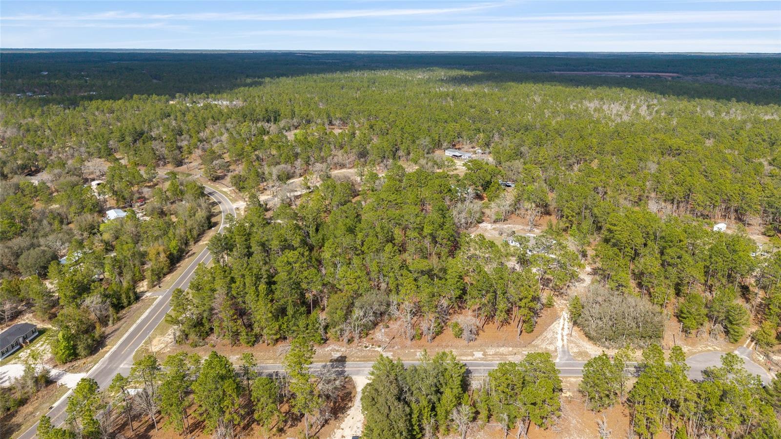 102 WHIRLWIND WAY, HAWTHORNE, FL, 32640