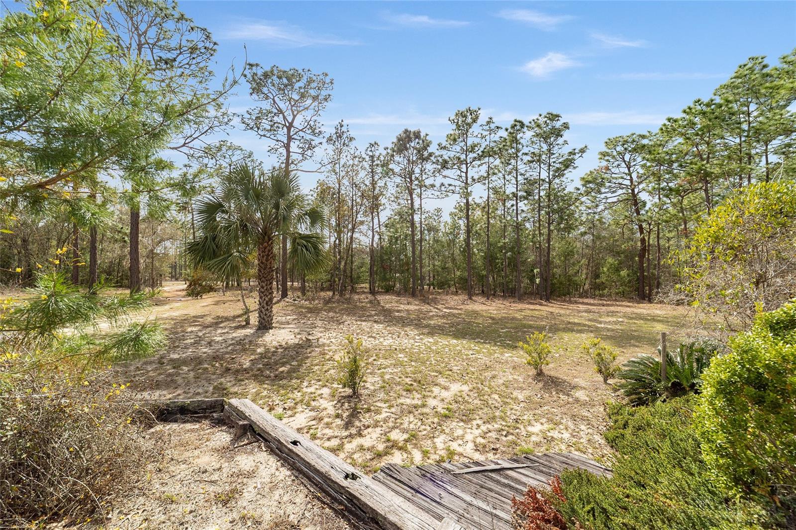 102 WHIRLWIND WAY, HAWTHORNE, FL, 32640