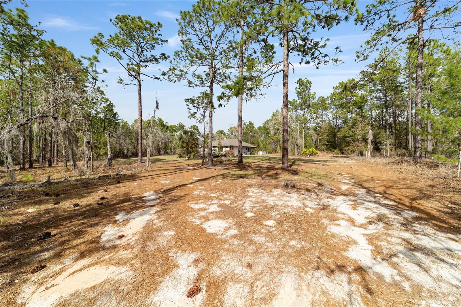 102 WHIRLWIND WAY, HAWTHORNE, FL, 32640