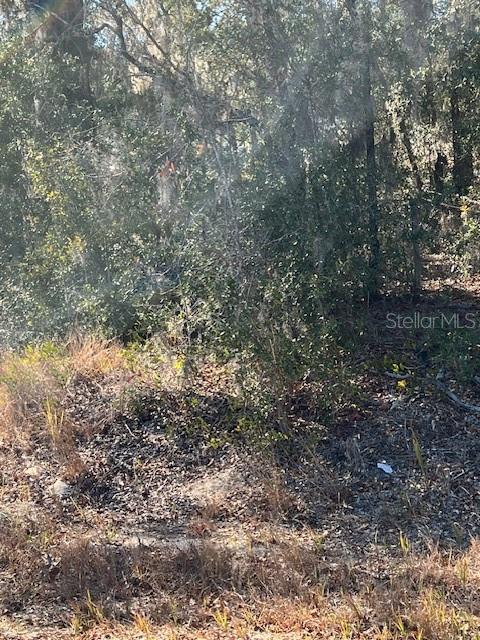 TBD LOCUST PASS LOOP, OCALA, FL, 34472