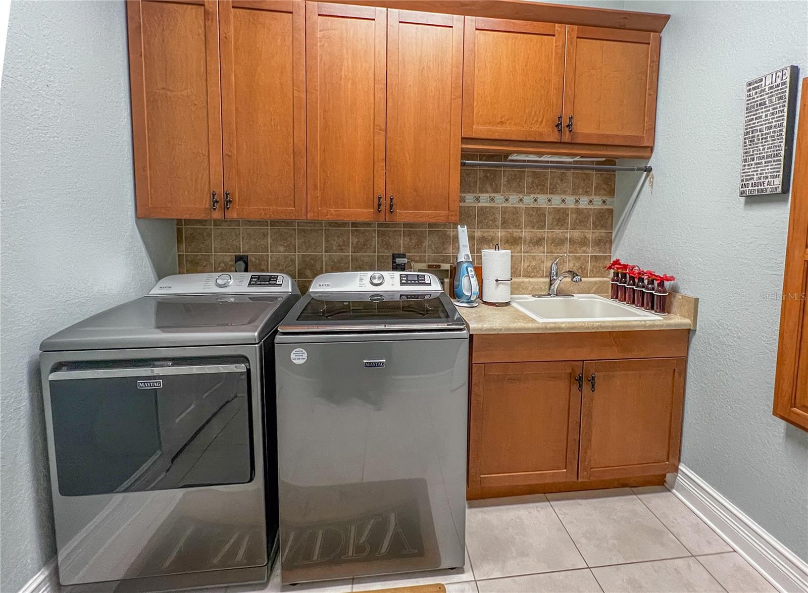 8422 SHENANDOAH RUN, WESLEY CHAPEL, FL, 33544