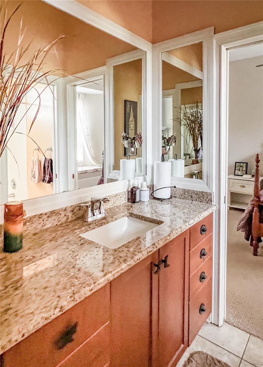 8422 SHENANDOAH RUN, WESLEY CHAPEL, FL, 33544