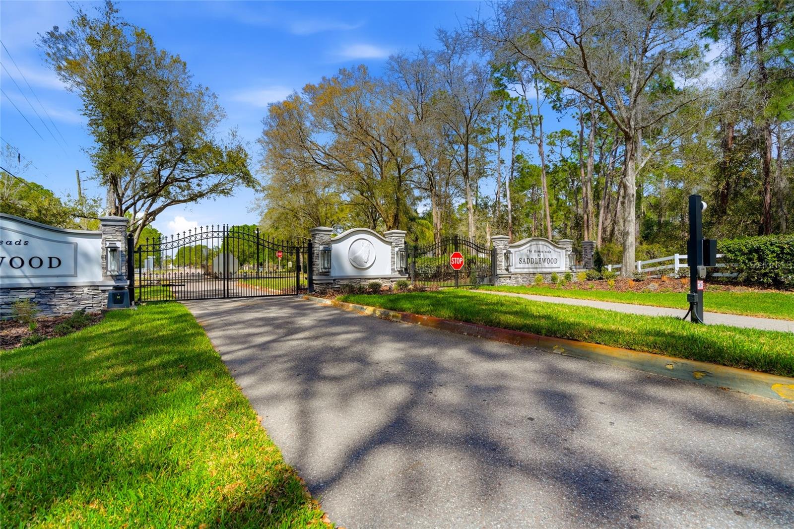 8422 SHENANDOAH RUN, WESLEY CHAPEL, FL, 33544