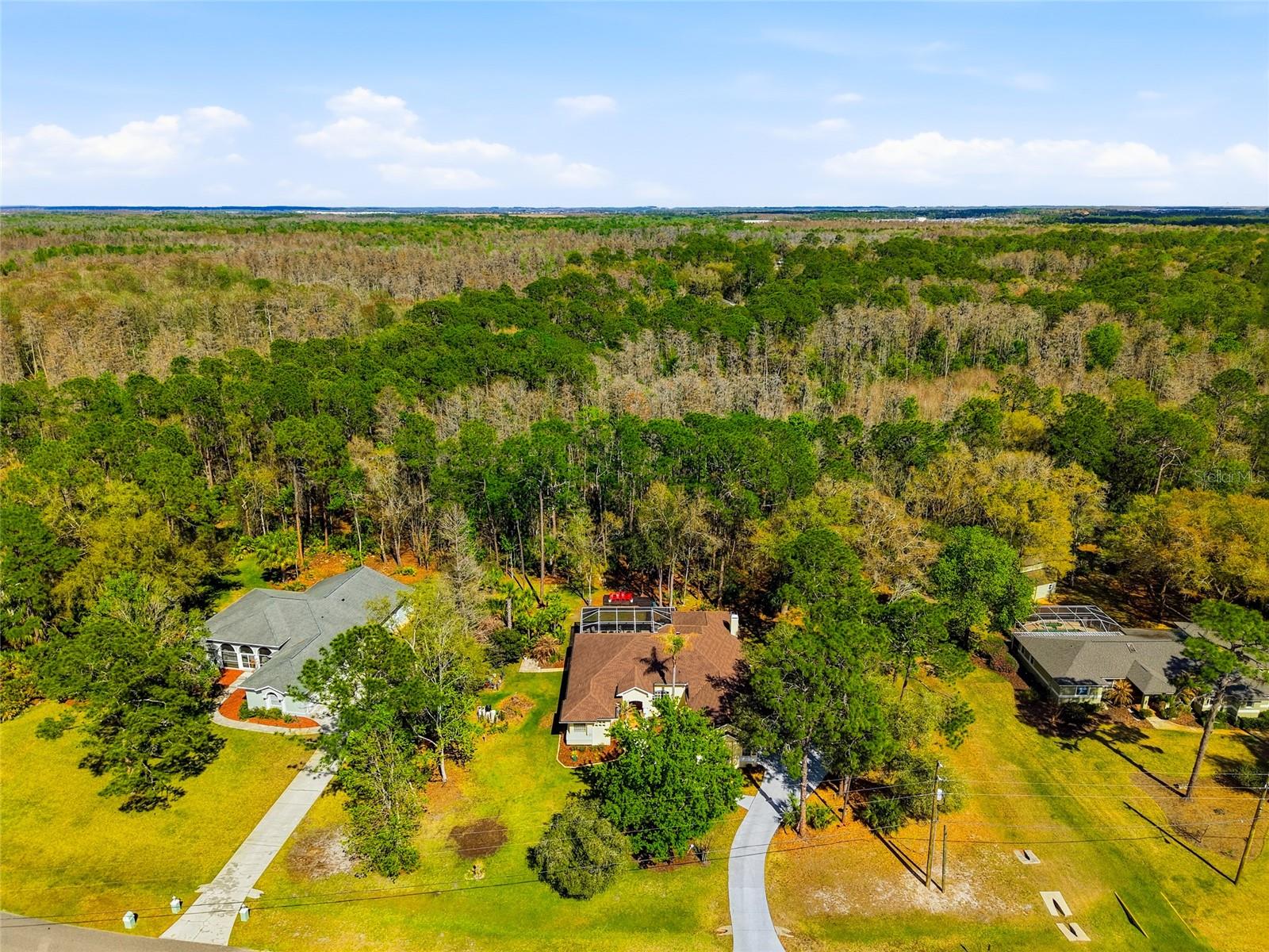 8422 SHENANDOAH RUN, WESLEY CHAPEL, FL, 33544