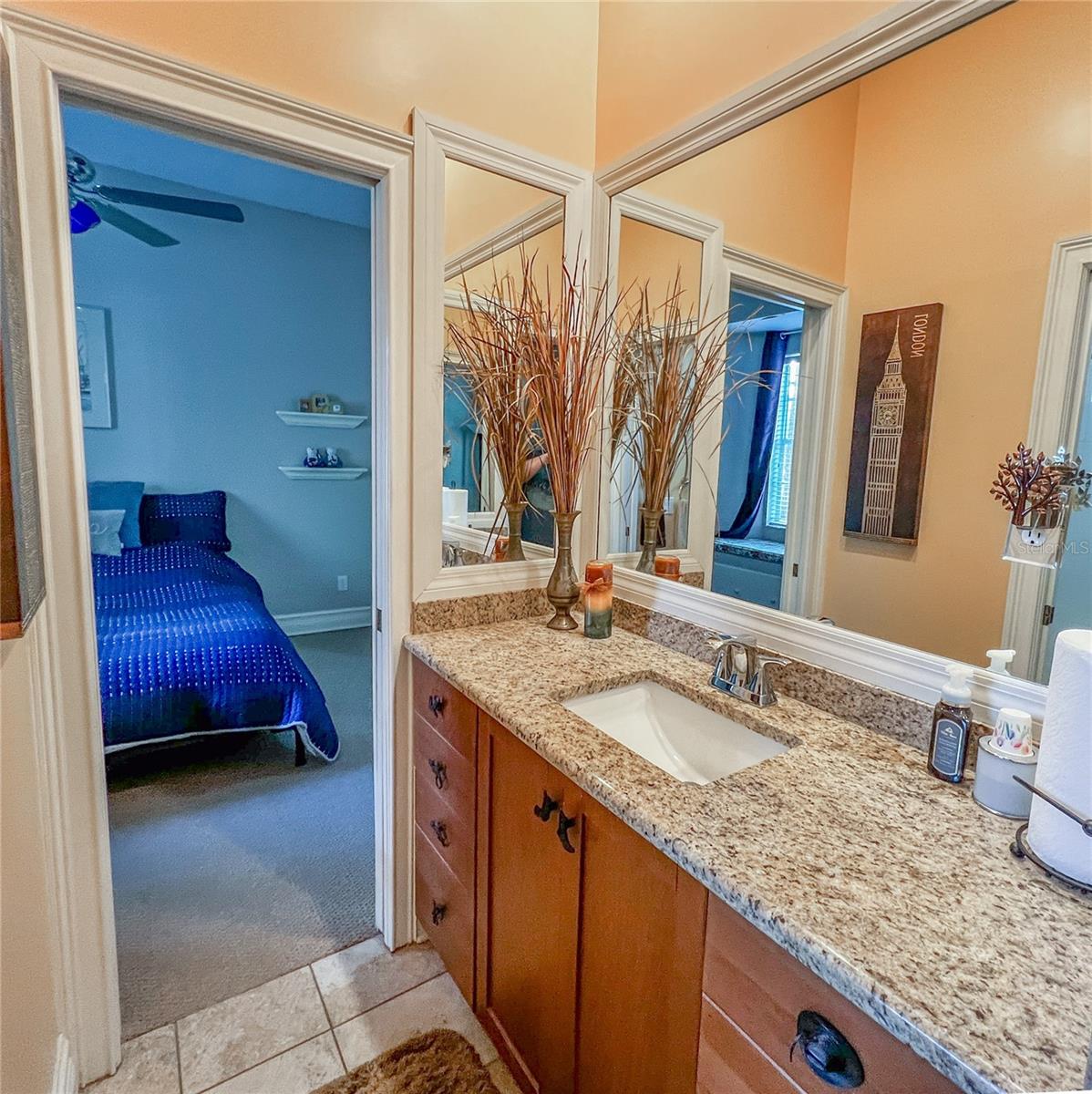 8422 SHENANDOAH RUN, WESLEY CHAPEL, FL, 33544