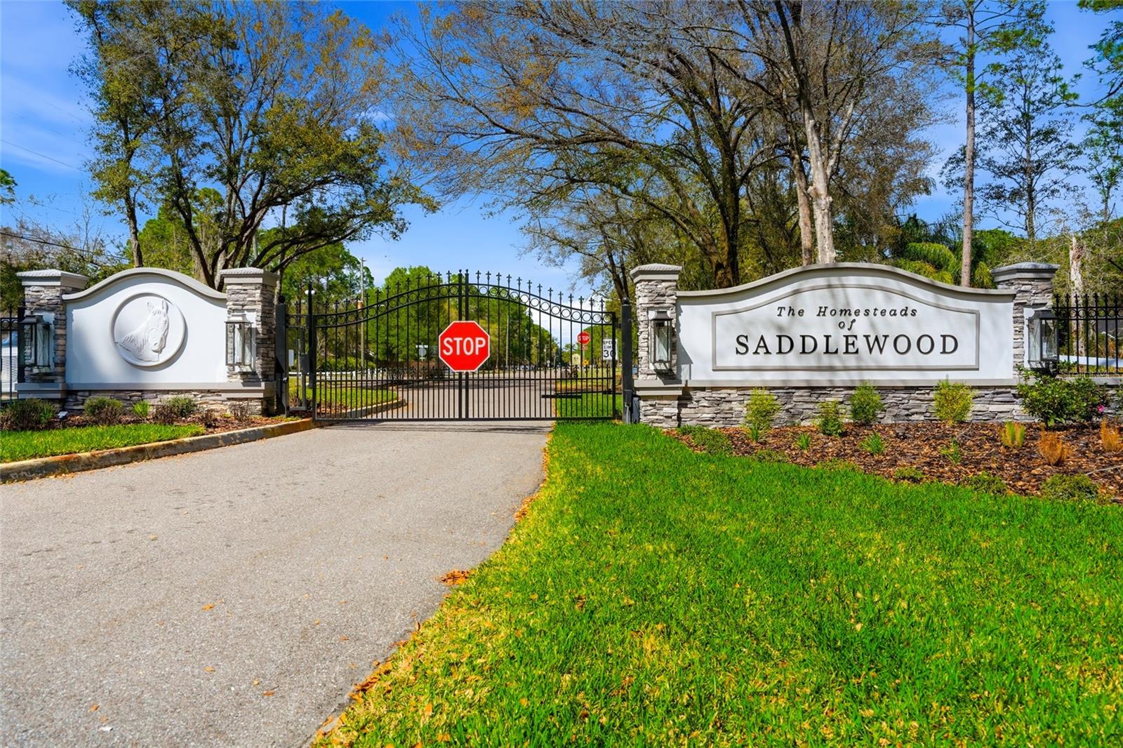 8422 SHENANDOAH RUN, WESLEY CHAPEL, FL, 33544