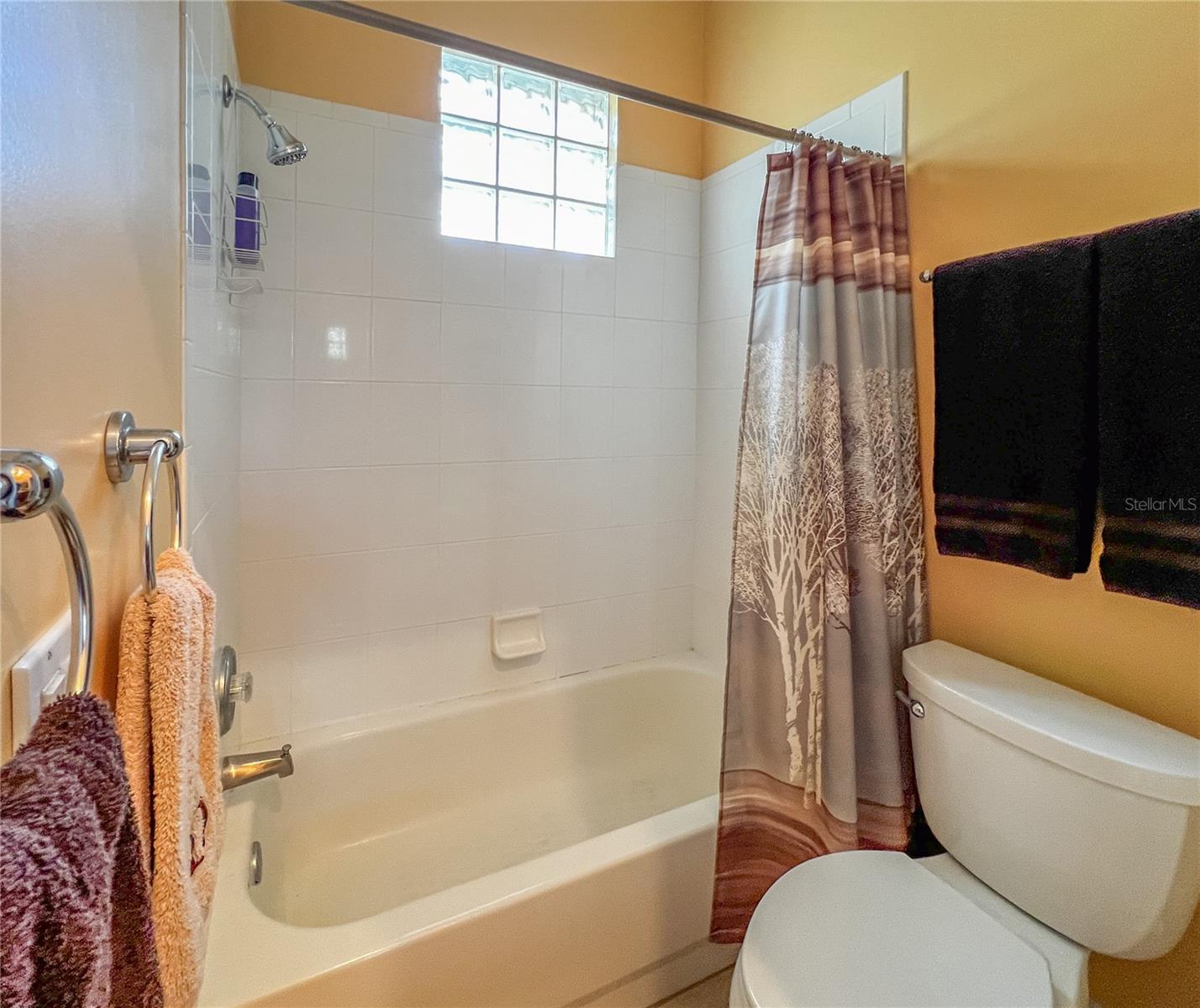 8422 SHENANDOAH RUN, WESLEY CHAPEL, FL, 33544