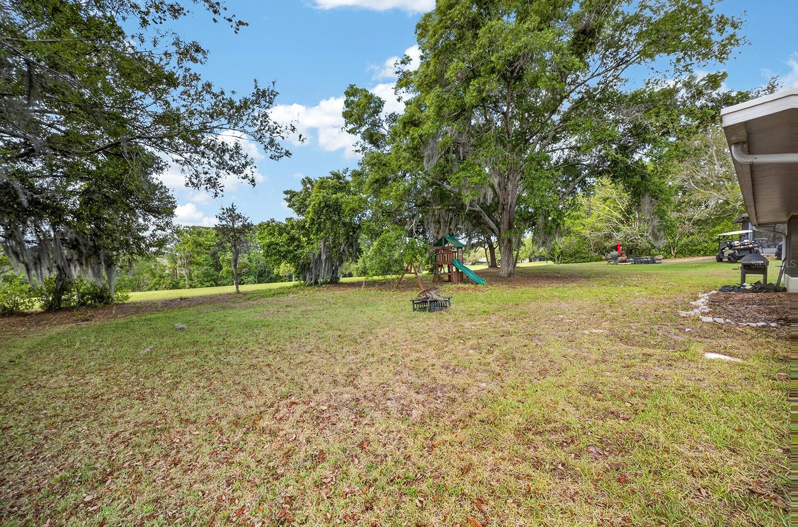 12584 WEDGEFIELD DR, GRAND ISLAND, FL, 32735