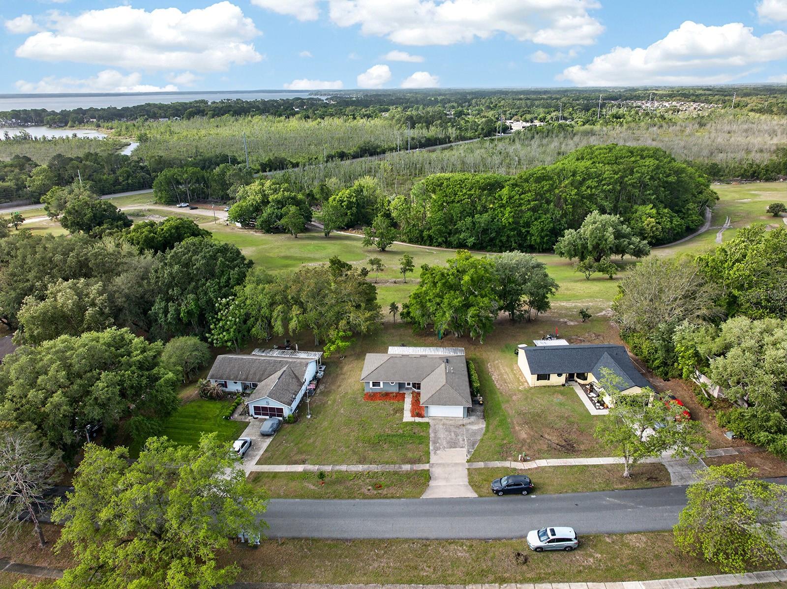 12584 WEDGEFIELD DR, GRAND ISLAND, FL, 32735