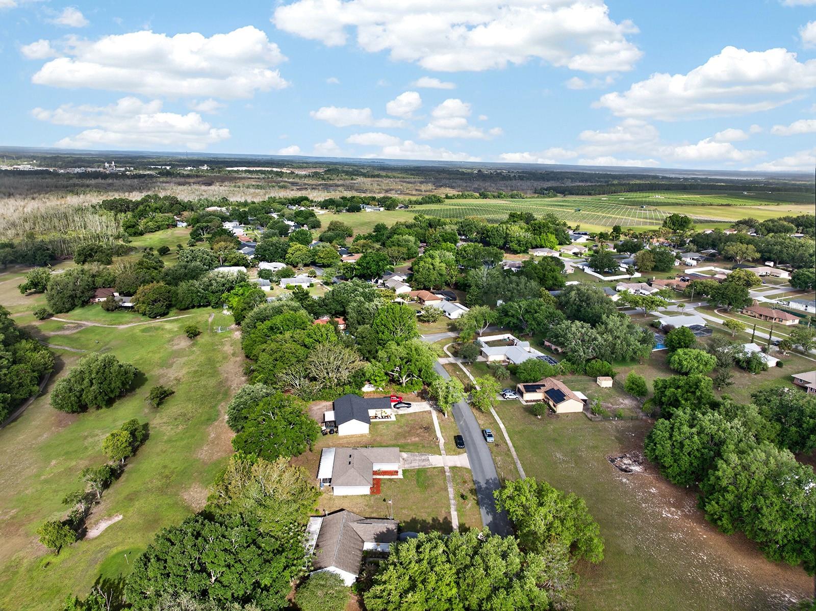 12584 WEDGEFIELD DR, GRAND ISLAND, FL, 32735