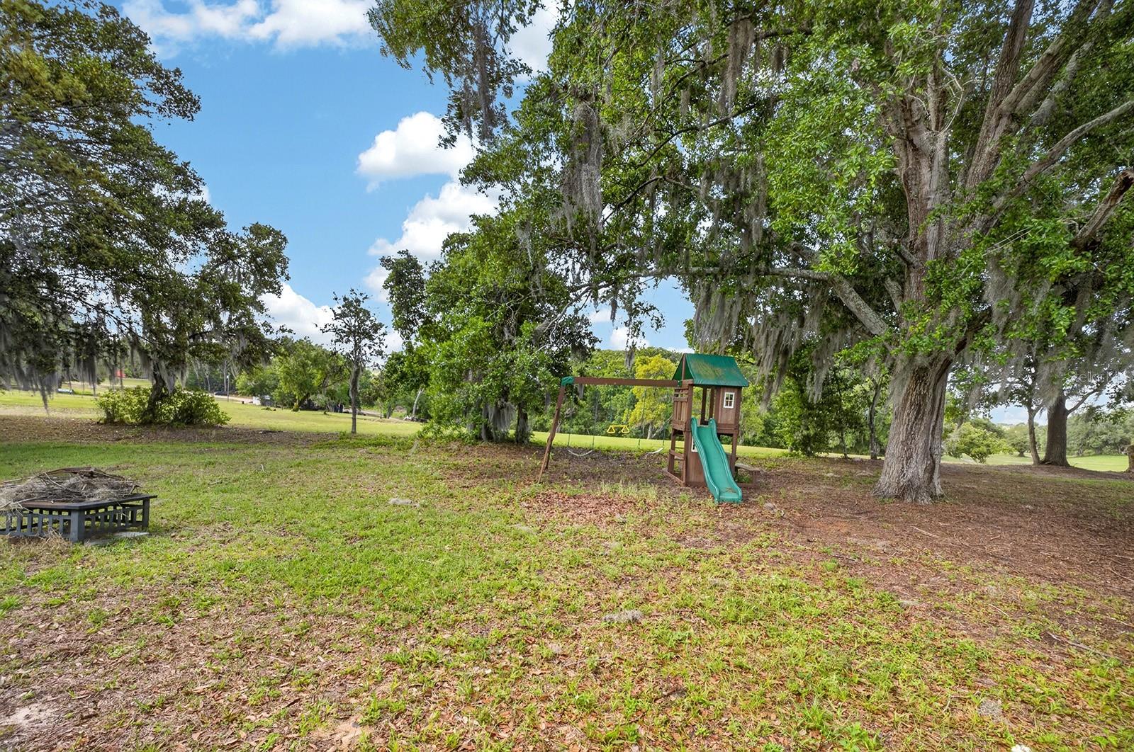 12584 WEDGEFIELD DR, GRAND ISLAND, FL, 32735