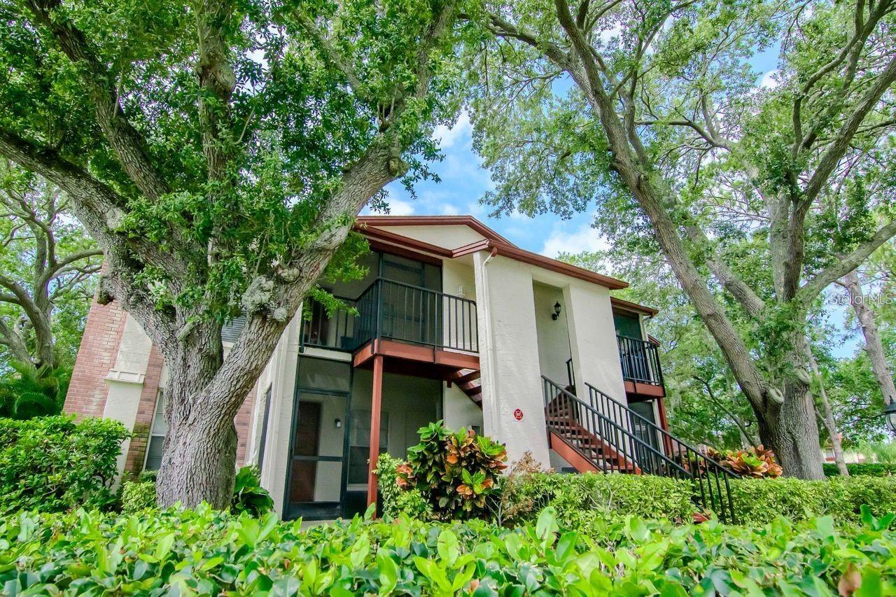 3455 COUNTRYSIDE BLVD #96, CLEARWATER, FL, 33761