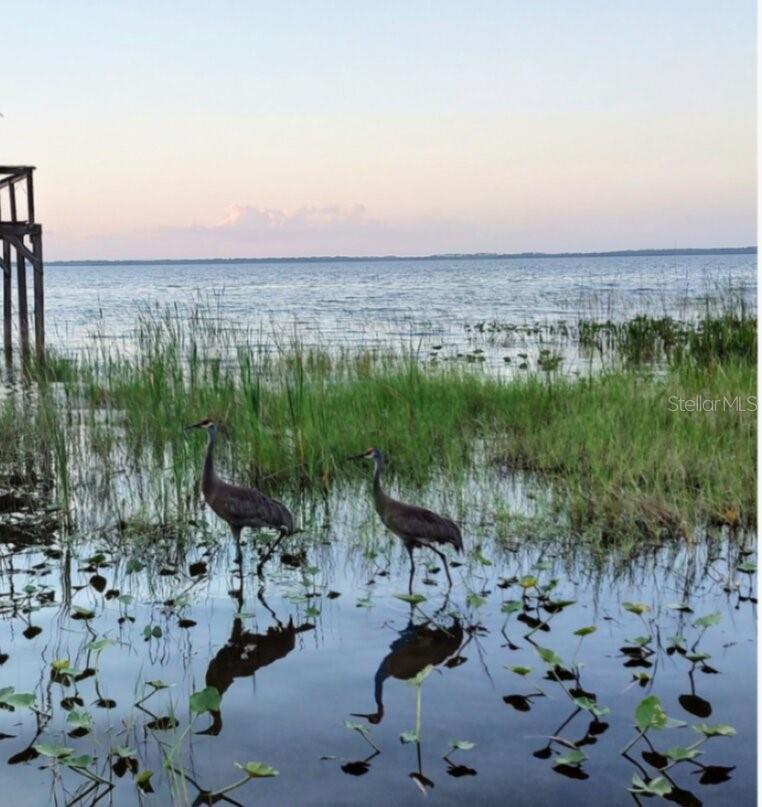 11130 SHORE DR, LAKE WALES, FL, 33898