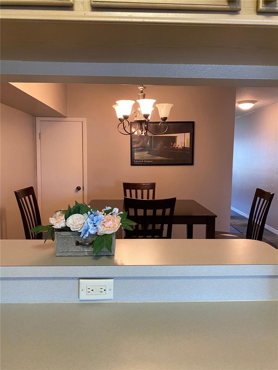 427 KENSINGTON LAKE CIR, BRANDON, FL, 33511