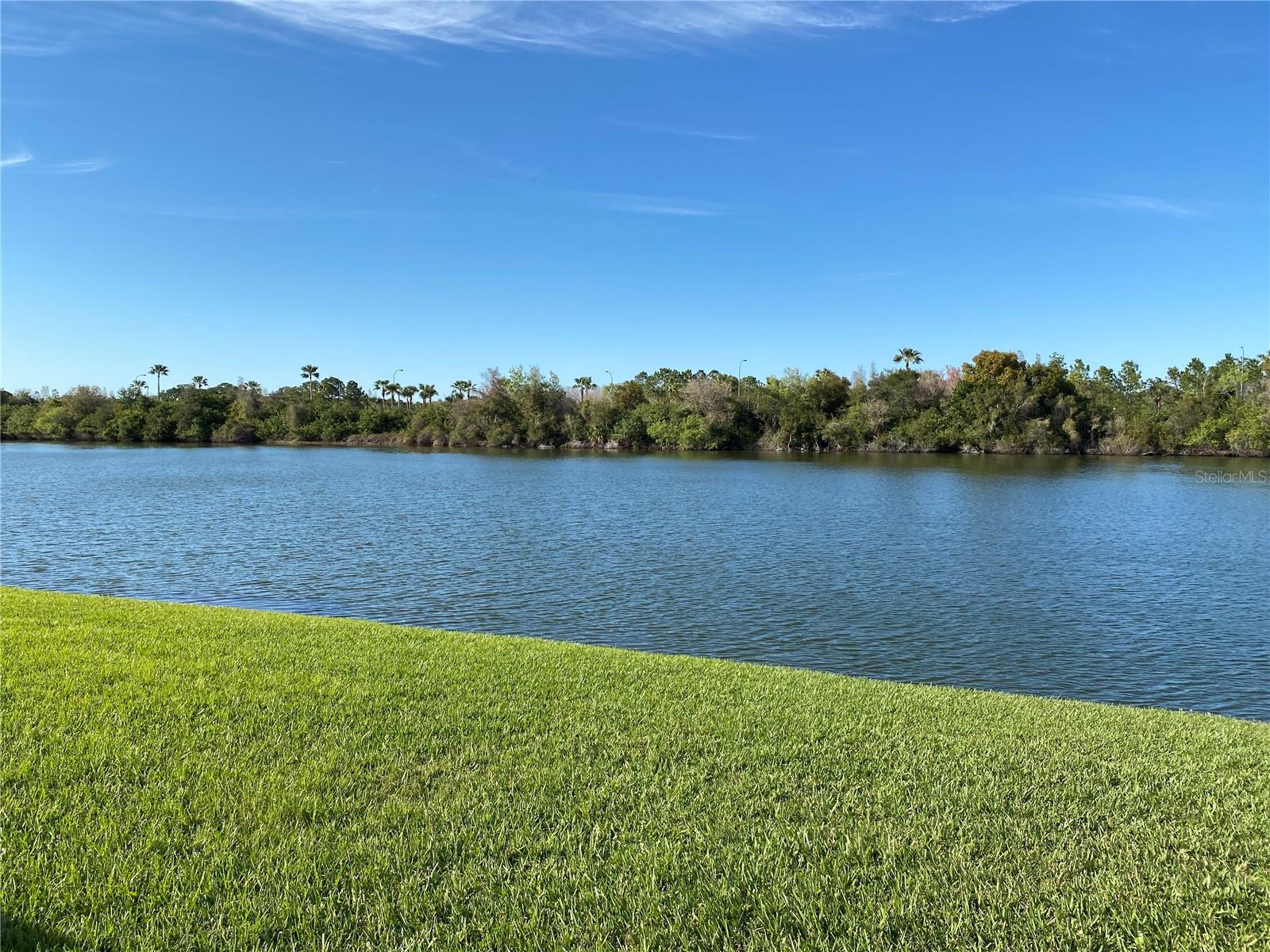 427 KENSINGTON LAKE CIR, BRANDON, FL, 33511