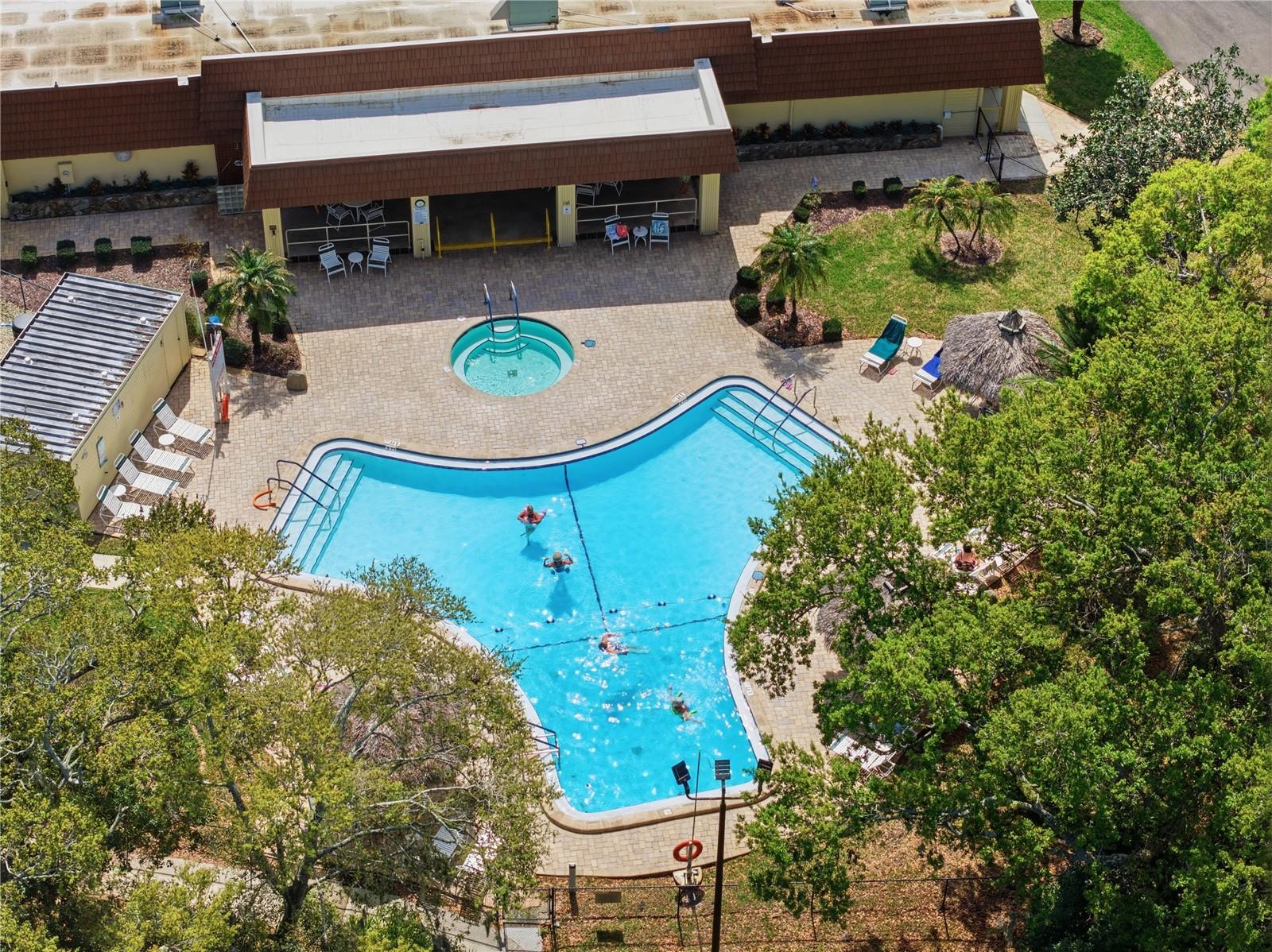 84 JACARANDA DR #15, SAFETY HARBOR, FL, 34695