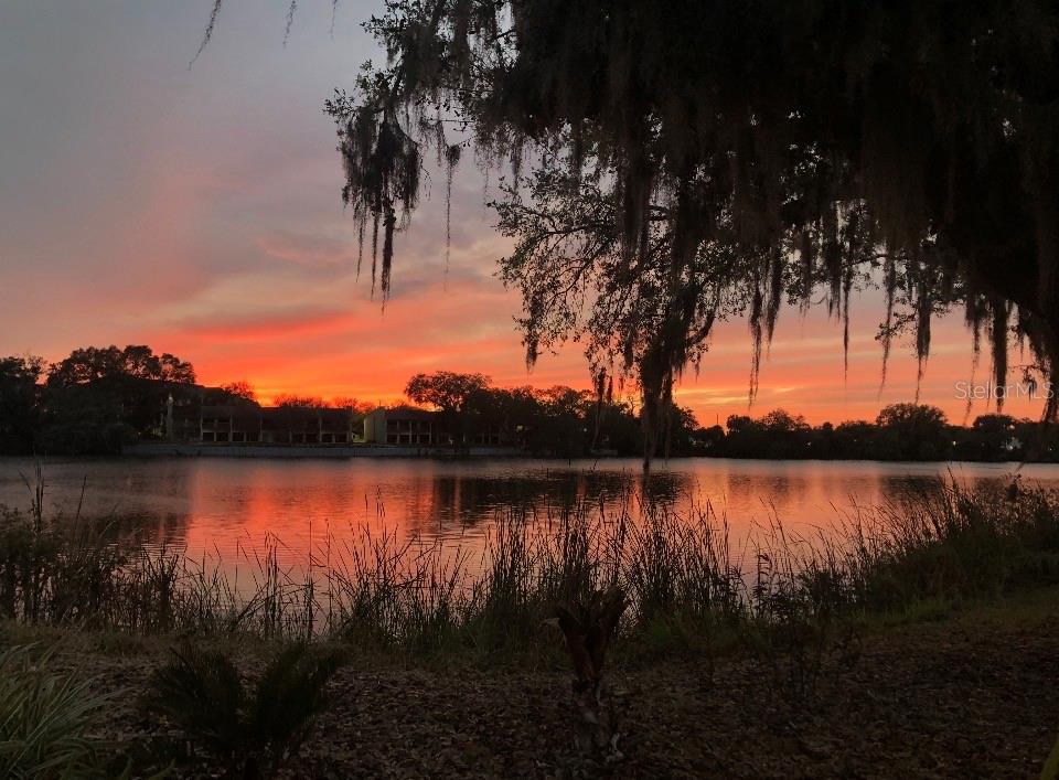 725 PENINSULAR DR, LAKELAND, FL, 33813