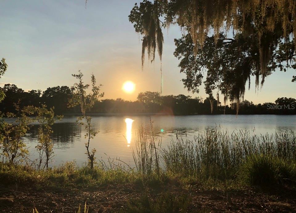 725 PENINSULAR DR, LAKELAND, FL, 33813