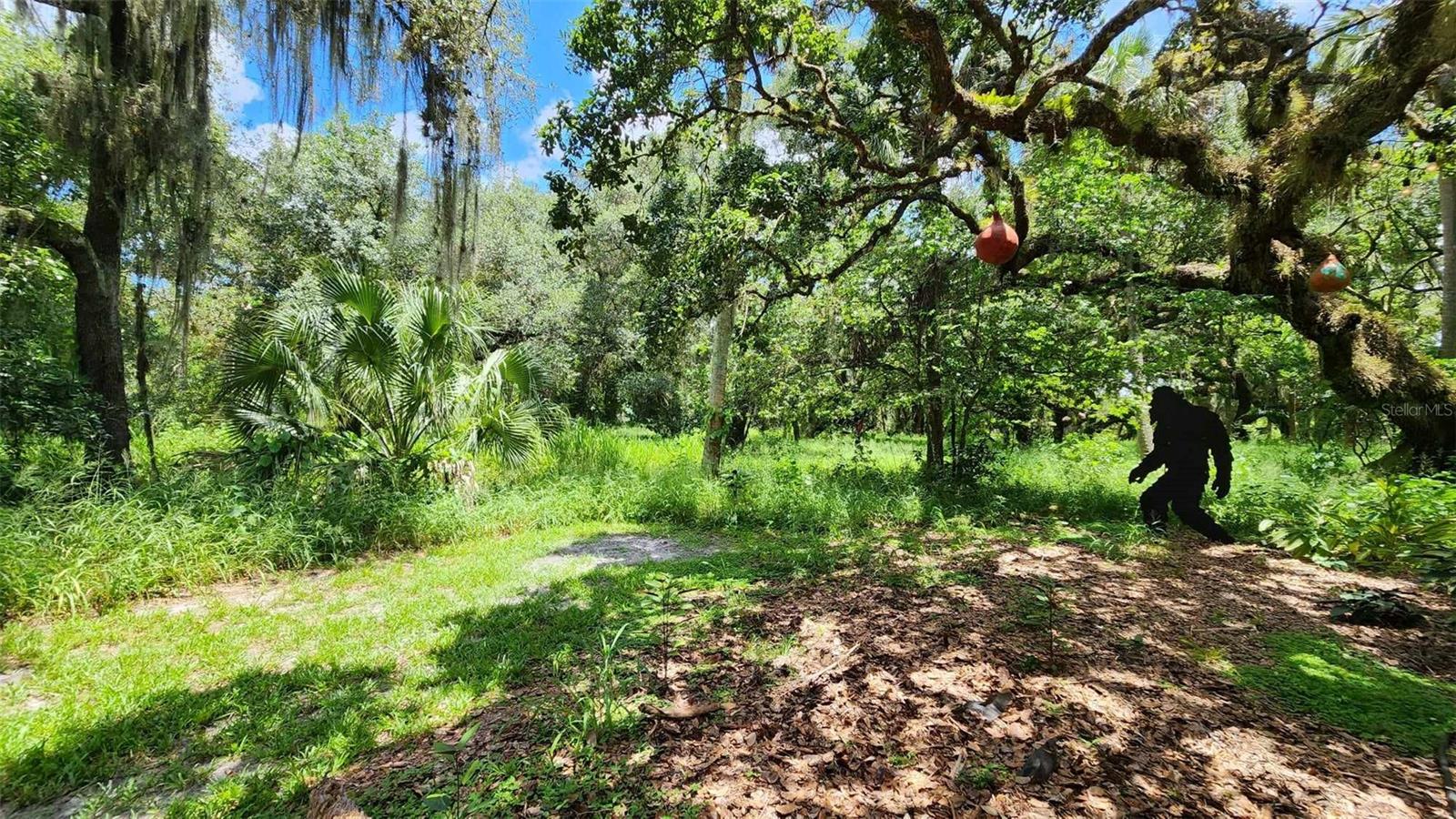 389 LONGHORN DR, RIVER RANCH, FL, 33867