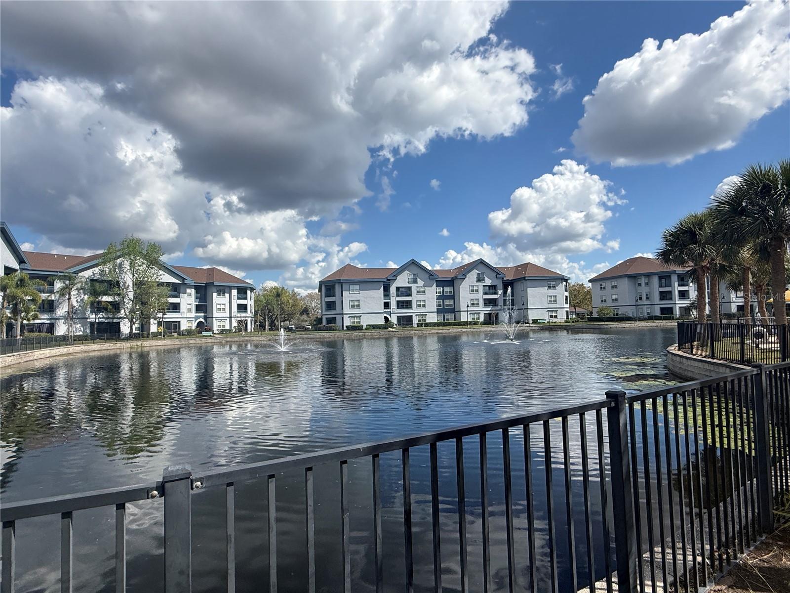 1610 RAENA DR #316, ODESSA, FL, 33556