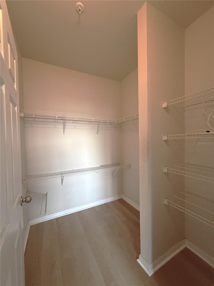 1610 RAENA DR #316, ODESSA, FL, 33556