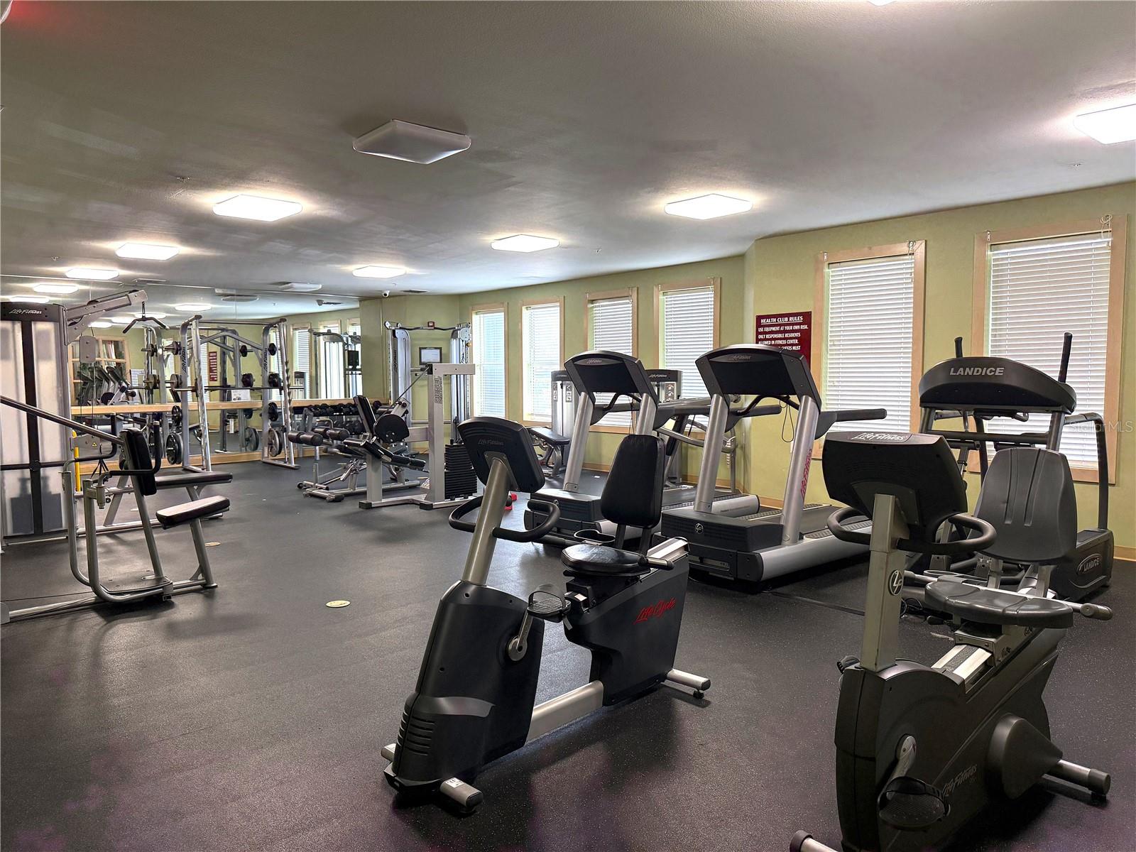 1610 RAENA DR #316, ODESSA, FL, 33556