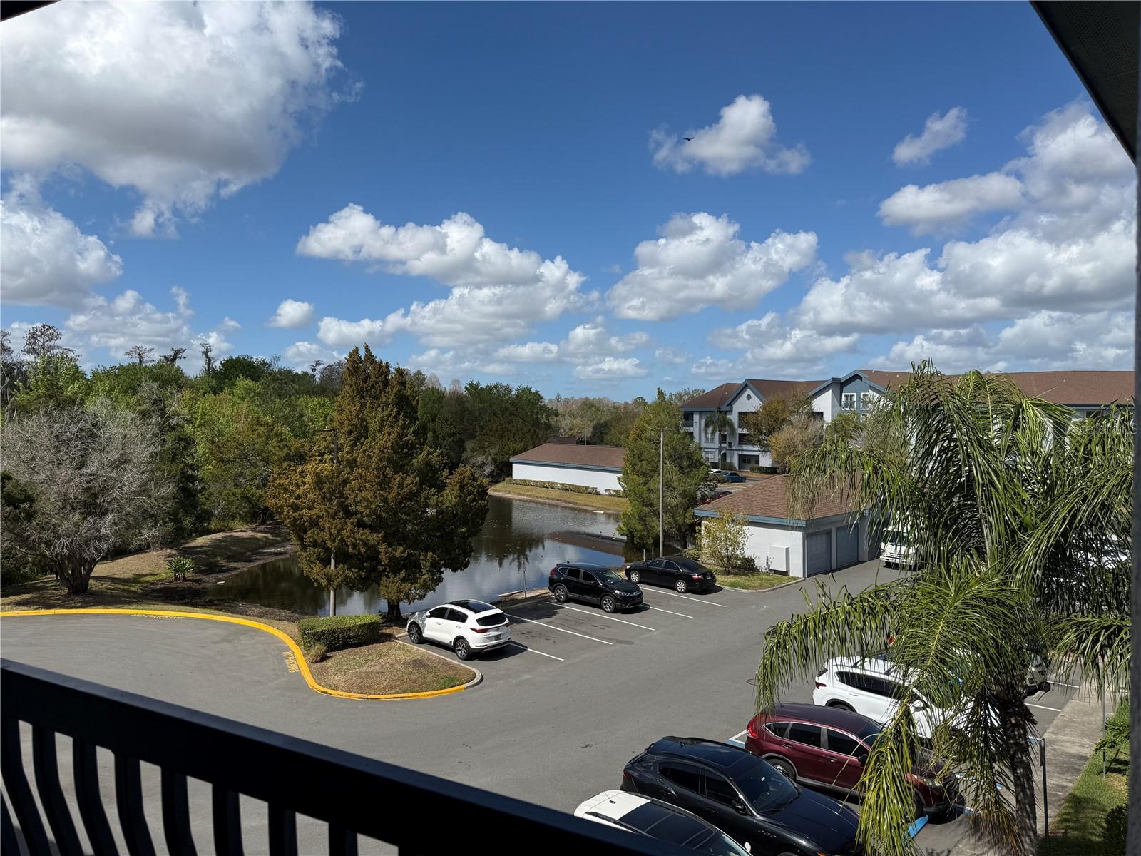 1610 RAENA DR #316, ODESSA, FL, 33556