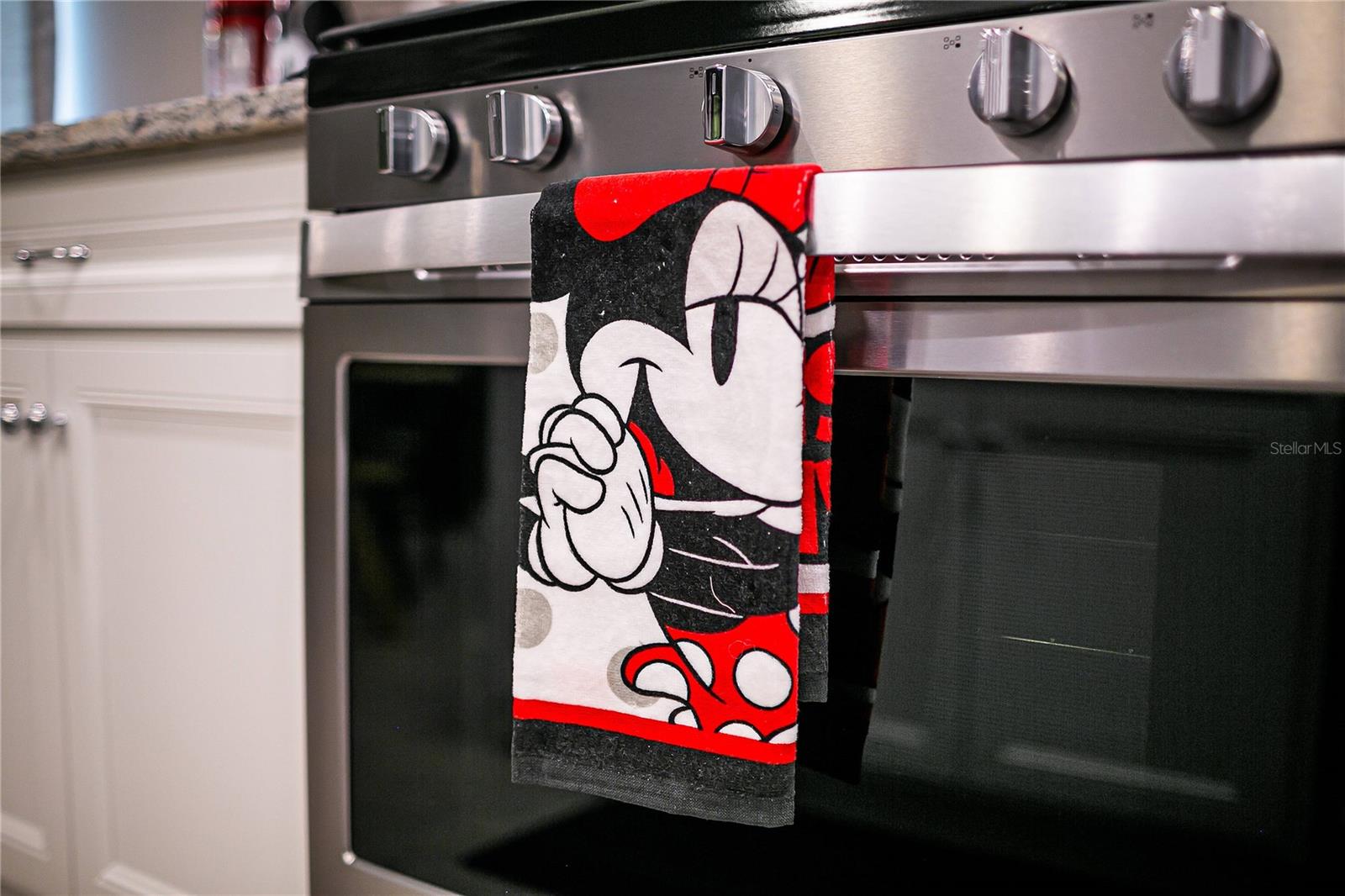 7336 OAKMOSS LOOP, DAVENPORT, FL, 33837