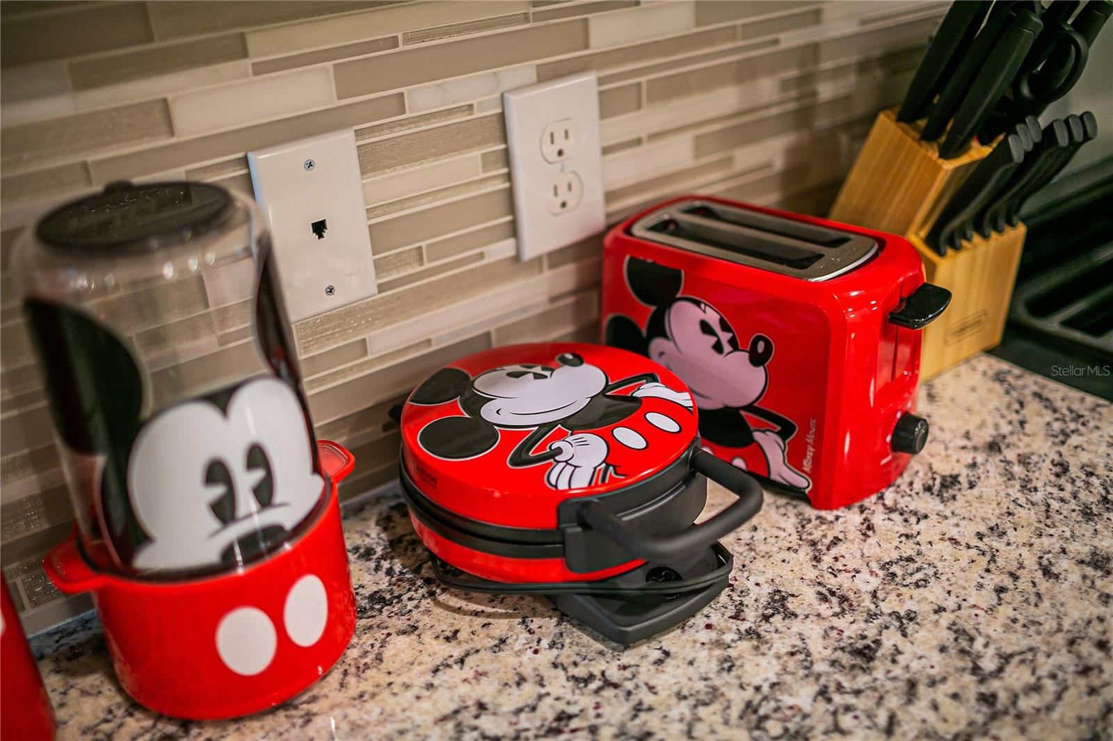 7336 OAKMOSS LOOP, DAVENPORT, FL, 33837