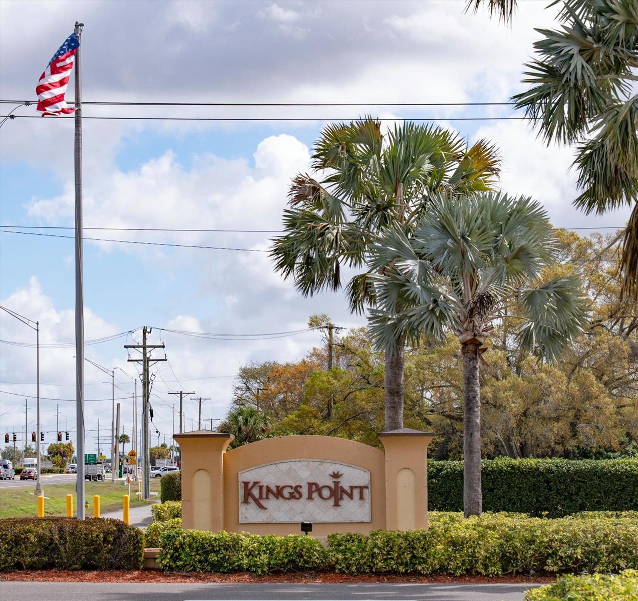 205 KINGS BLVD #62, SUN CITY CENTER, FL, 33573