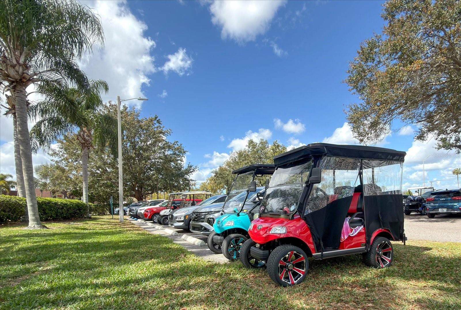 205 KINGS BLVD #62, SUN CITY CENTER, FL, 33573