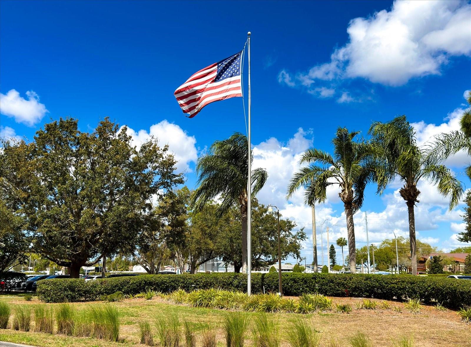 205 KINGS BLVD #62, SUN CITY CENTER, FL, 33573